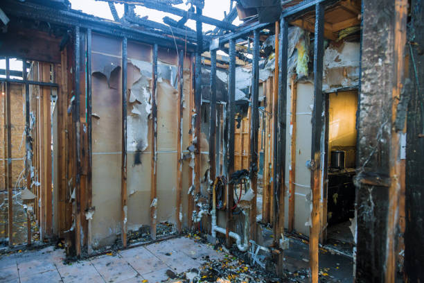 Professional Fire Damage Removal technician working in Elkton, MD
